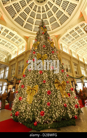 Leipzig, Germany, with masses of festive wine Geesthacht tree in Maedlerpassage Stock Photo