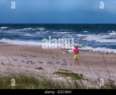 A unrecognizable woman feeding seagulls on a Florida beach. Stock Photo