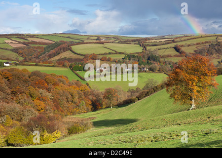 Rolling Hills of Exmoor Stock Photo