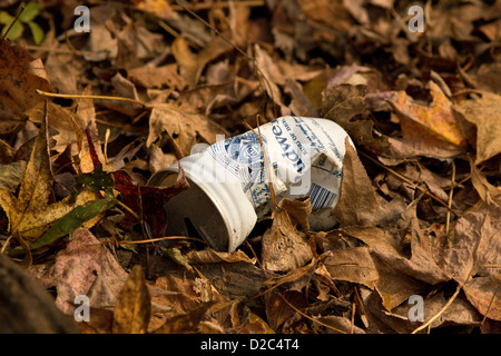 litter, empty beer can Stock Photo