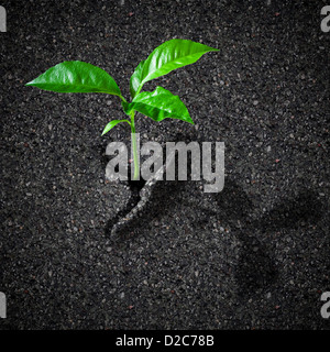 Sprout breaks asphalt concept Stock Photo