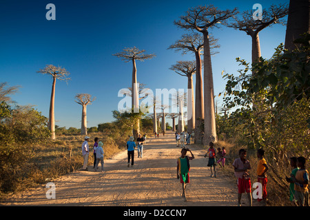 Madagascar, Morondava, Avenue of baobabs, Allee des Baobabs, tourists and local children Stock Photo
