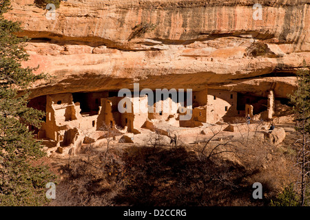 Spruce Tree House, cliff dwelling of pre-Columbian Anasazi indians and UNESCO World Heritage site, Mesa Verde National Park in C Stock Photo