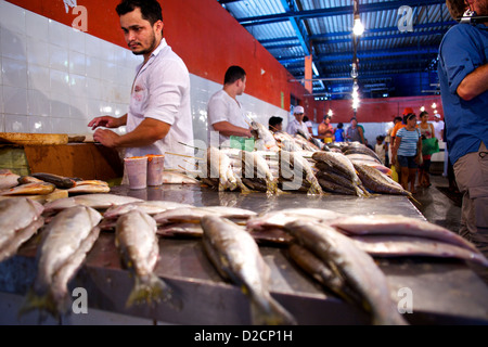 Fish prepared and ready to sell in a marketplace in Manaus, Brazil. Stock Photo