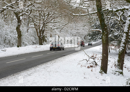 Snow in the New Forest National Park in Hampshire United Kingdom Stock Photo