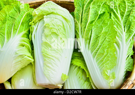 A head of romaine lettuce Stock Photo