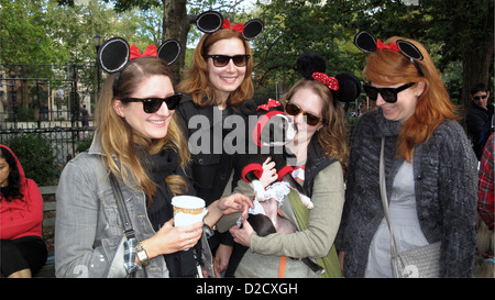 Contestant at the Halloween Dog Parade in Tompkins Square Park in Manhattan, 2011. Stock Photo