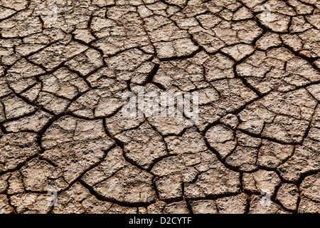Australia, Western Australia, Wyndham, cracked and dried mud on the flood plains at King River Road Stock Photo