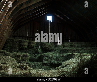 Loft of a barn with hay showing roof and window Stock Photo