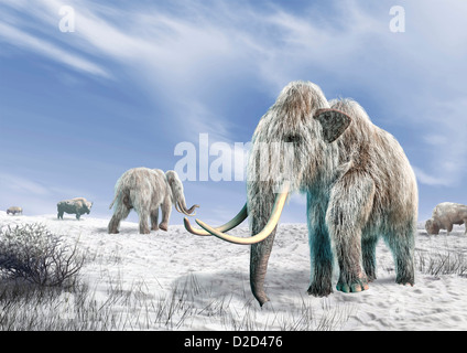 Woolly mammoths Computer artwork of woolly mammoths Mammuthus primigenius and bison Bison bison in a snow-covered field Stock Photo