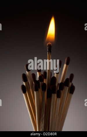  One lit match in a bundle of matches Stock Photo - Alamy Illustration 