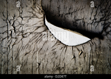 Peeling wallpaper on a plaster wall. Stock Photo