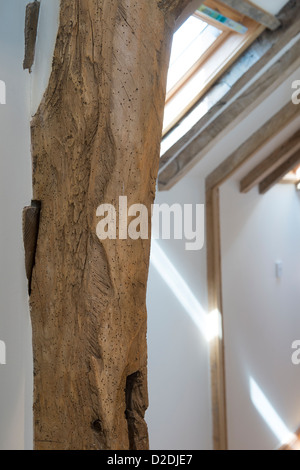 Beautiful old beams in a recently converted barn in rural England. Stock Photo