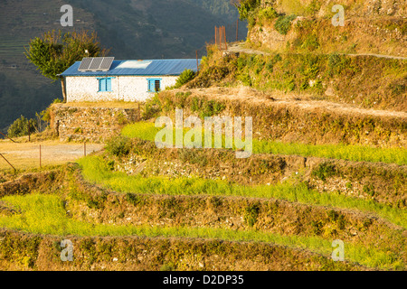 Solar photo voltaic panels on the rooftops of a school in Ladruk in the Himalayan foothills, Nepal. Stock Photo