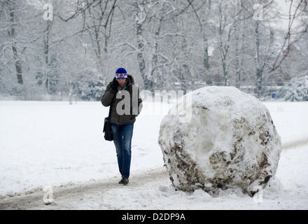 With temperatures not getting much above freezing the snow from yesterday and over night has stayed. In Cambridge U.K a man walks past a large snow ball on Jesus Green. Stock Photo