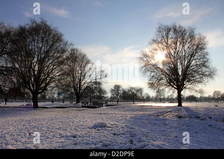 Bushy Park, London, England, UK. 21st Jan, 2013. The Heron Pond has frozen in Royal Bushy Park near Teddington, after snowfall and sub zero temperatures over the last week. Stock Photo