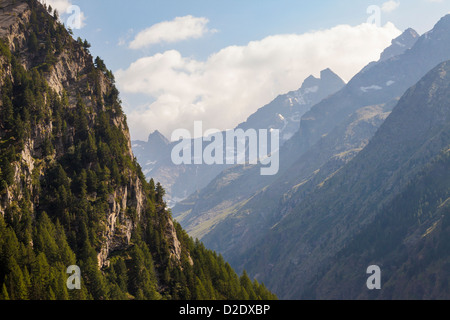 Gran Paradiso National Park, Aosta Valley, Pennine Alps, Italy. July. Stock Photo