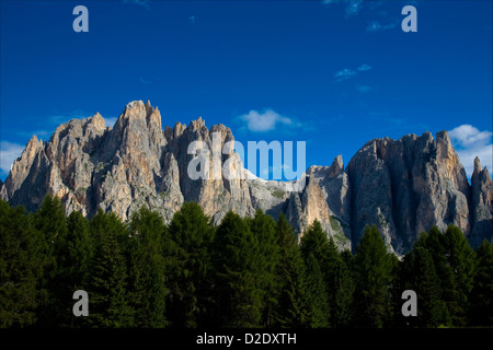 Catinaccio, Val di Fossa, Northern Italy Stock Photo