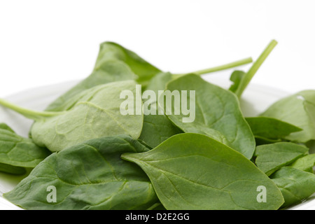 Spinach, Spinacia oleracea, leaves on a plate Stock Photo