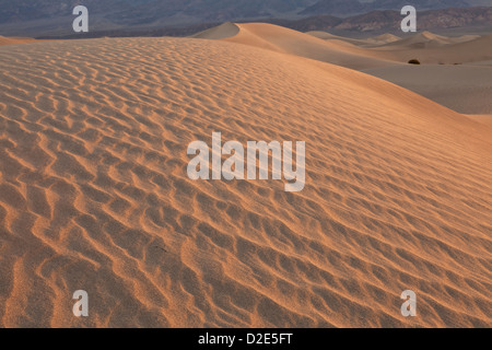 Mesquite Flat Dunes at sunrise, near Stovepipe Wells in Death Valley National Park, California. Stock Photo
