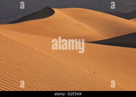 Early light on Mesquite Flat Dunes near Stovepipe Wells in Death Valley National Park, California. Stock Photo