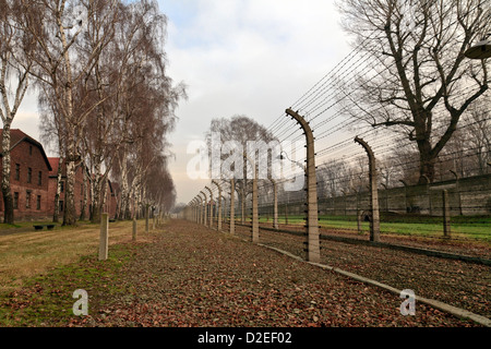 Fence with electrical barbed wire at Auschwitz concentration camp in Poland Stock Photo