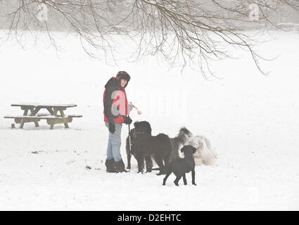Westley Heights, Basildon, Essex, UK. 22nd January 2013. People walk in snow and freezing fog in Westley Heights. Photographer: Gordon Scammell Stock Photo