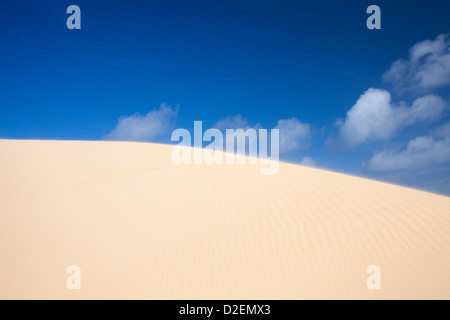 sand and sky dunes abstract, edge of the dune blurred by flying sand Stock Photo