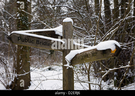 North Downs Way signpost in Ashcombe Wood, near Dorking, Surrey, England. Stock Photo