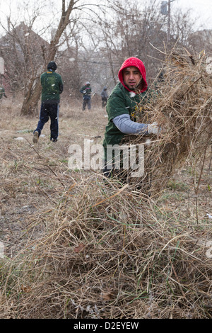 On Martin Luther King Day, college students and neighborhood residents volunteered to clean trash from vacant properties. Stock Photo