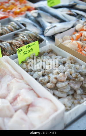 Fresh selection of seafood at fishmonger stall, St Georges market Belfast Northern Ireland Stock Photo