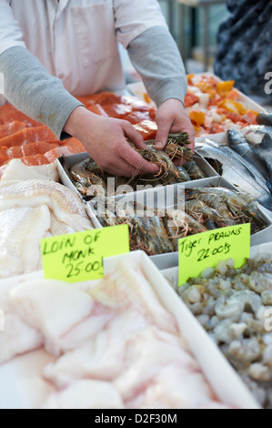 Fresh selection of seafood at stall being handled by fishmonger, St Georges market Belfast Northern Ireland Stock Photo