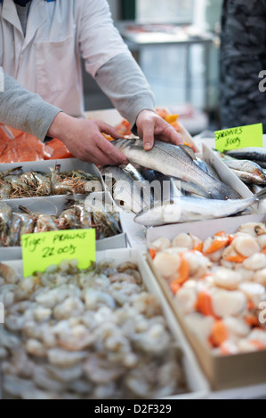 Fresh selection of seafood at stall being handled by fishmonger, St Georges market Belfast Northern Ireland Stock Photo
