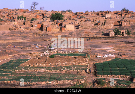 Konsogou - a typical village on the Dogon Plain in Mali, Africa. Stock Photo
