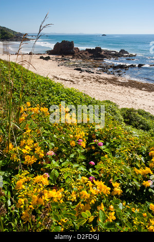 Australia, New South Wales, mid-North Coast, Port Macquarie, Flynns Beach Stock Photo