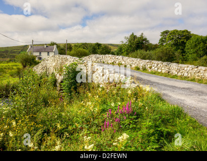 The historic Quiet Man Bridge in County Galway, Ireland, featured in the 1950s film, 'The Quiet Man'. Stock Photo