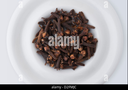 Cloves on a white plate against a white background Stock Photo