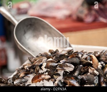 Fresh mussels for sale on a fishmonger's market stall, UK Stock Photo