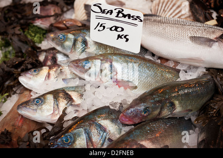 Fresh Sea Bass for sale on a fish market stall at Borough Market, London, UK