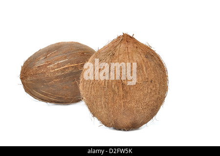 beautiful whole coconut isolated on white background Stock Photo