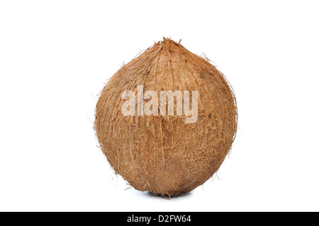 whole coconuts isolated on white background Stock Photo