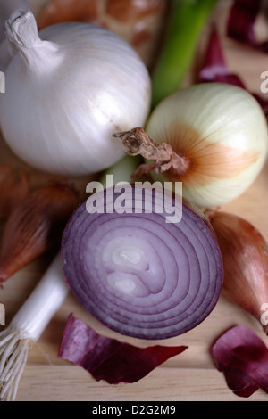 onion varieties Stock Photo