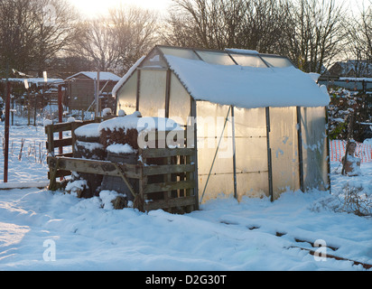 snow covered allotments in winter, norfolk, england Stock Photo