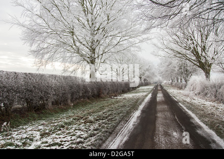 An icy lane in rural England. Hoar frost clings to the hedges and trees on either side of the grass edged lane. Stock Photo