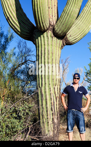 Man Standing next to a Giant Cactus in Saguaro N.P. , Arizona, USA Stock Photo