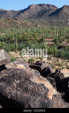 Rock Art in Saguaro N.P, Arizona, USA Stock Photo