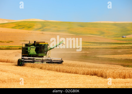 Harvesting Wheat in Palouse, Washington Stock Photo