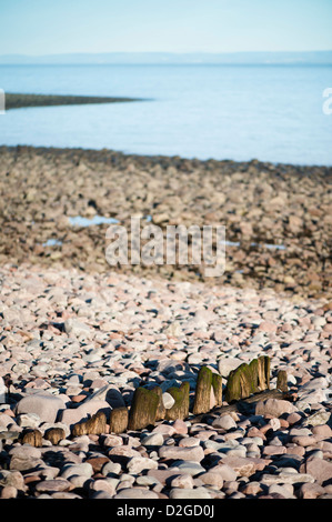 Eroded wooden groyne or breakwater on the beach at Porlock Weir, Somerset, England, United Kingdom Stock Photo