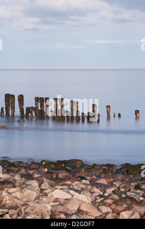 Eroded wooden groyne or breakwater on the beach at Porlock Weir, Somerset, England, United Kingdom Stock Photo