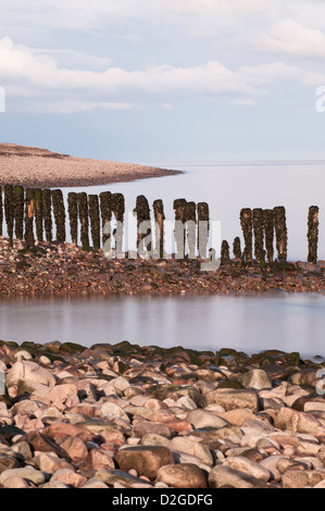 Eroded wooden groyne or breakwater on the beach at Porlock Weir, Somerset, England, United Kingdom Stock Photo